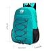 25L TIBAG Water Resistant Lightweight Packable Folding Foldable Daypack Backpack (FRUIT GREEN, LARGE)