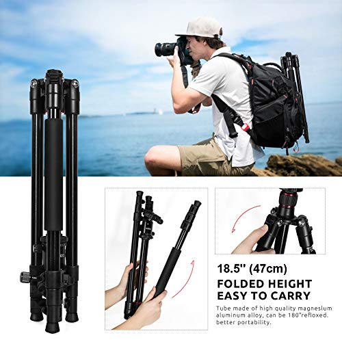 1 ESDDI+Aluminum+Monopod+Professional+Panasonic