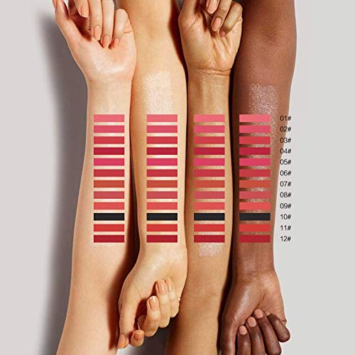 12Pcs Astrology Matte Liquid Lipstick Set Long Lasting Waterproof Red and Black Lip Gloss Makeup