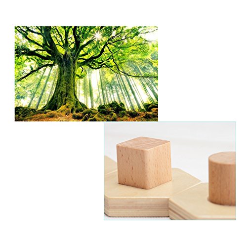 Wooka Wooden Geometric Sorting Puzzle, Stacking Toy for Toddlers, Learn Shapes and Colors