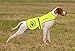 Pet & Protect Premium Dog Reflective Vest (Neon) High-Visibility Safety | Walking, Jogging, Training | Sizes to fit Small, Medium, Large Breeds 16-130 lbs. (Large)