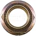 Dorman - Autograde 615-160 Spindle Nut M22-1.5 Hex Size 32mm