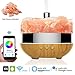 Essential Oil Diffuser Aromatherapy Diffuser - 400ml Oil Diffuser Aroma Diffuser Cool Mist Humidifier Himalayan Salt Lamp Works with Alexa Google Home for Office Home Bedroom Living Room Yoga Spa