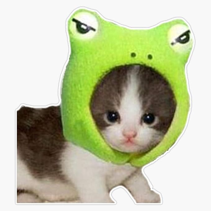 Cat In Frog Hat Sticker Decal Vinyl 