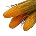 Babariol Artificial Corn, Lifelike Simulation Fake Vegetable Corn (3 pcs) (Corn)