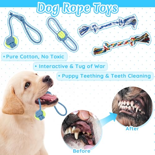 Ousiya 12 Pcs Puppy Teething Toys Set, Small Breed Chew Toys with Storage Case, Suitable for 8 Weeks Puppies