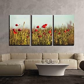 3 Piece Canvas Wall Art - Poppies Field Over Blue Sky with Clouds - Modern Home Art Stretched and Framed Ready to Hang - 16"x24"x3 Panels