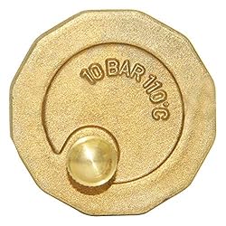 Beduan Brass 10500-VE Automatic Float
