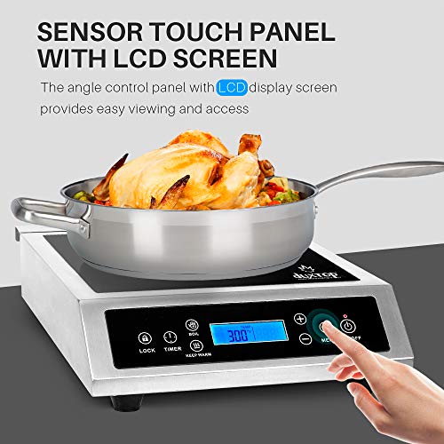 Duxtop Professional Portable Induction Cooktop, Commercial Range