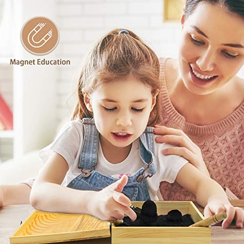 DAILYLIFE Sand Zen Garden with 1.5 Lbs Iron Filings, 5