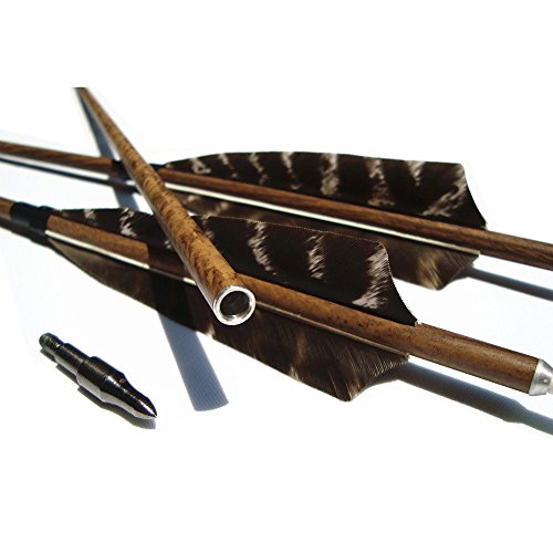 image for MS Jumpper Archery Hunting Carbon Arrows, MS Carbon Fiber Arrow Spine 