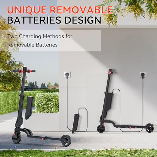 HX X6 4-Fold Backpack Electric Scooter Adults,Commuter E Scooters with Removable Battery,350W Motor & 20-40 km Range, Dual Brakes, 3 Speed Modes Outdoor Escooter,5.5" Solid Tires