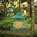 Bird Feeder By PetsN'all - Transparent, Hanging Bird Feeder in Hexagon Shape, Handles Up To 2.25 Lbs