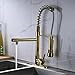 Rozin LED Light Pull Down Spray Kitchen Mixer Tap Single Hole Swivel Spout Sink Faucet with 8 Inch Holes Deck Plate Gold Polished