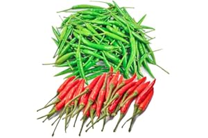 HIPGIRL for 2025! Early Bird! Hot Pepper Seeds for Planting,Non-GMO Heirloom Seeds Vegetable Seeds,Asian Chile Pepper Seeds for Home Vegetable Garden & Hydronic Pods,泰国小米椒(50ct Veggie Seeds-Thai Bird)