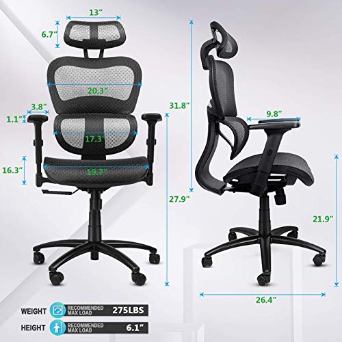 Ergousit Ergonomic Office Chair Mesh Computer Chair with Adjustable 3D