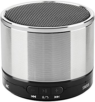 Bluetooth Speaker Lark Bird 3W Driver Portable Travel Wireless Mini Speaker Hands-free Calling Support AUX Line and TF Card Slot Build-in Mic for iPhone iPod iPad, Samsung LG and Smart phone (Silver)