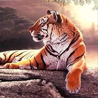 EOBROMD 5D Diamond Painting, Full Drill Paint with Diamonds Embroidery Wall Sticker for Wall Decor - Tiger 12x12inch