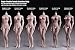 Phicen 1/6 Muscular Female Seamless Body Super Flexible Figure PLMB2017-S23B