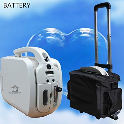 HouseHold Server Portable Oxygen Concentrator Generator with Battery Car Use Air Purifier with Trolley O2 Making Machine
