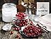 Naturevibe Botanicals Dried Cranberries (Sweetened), 1lbs | Natural and Healthy Snack | Dried Fruit (16 ounces)