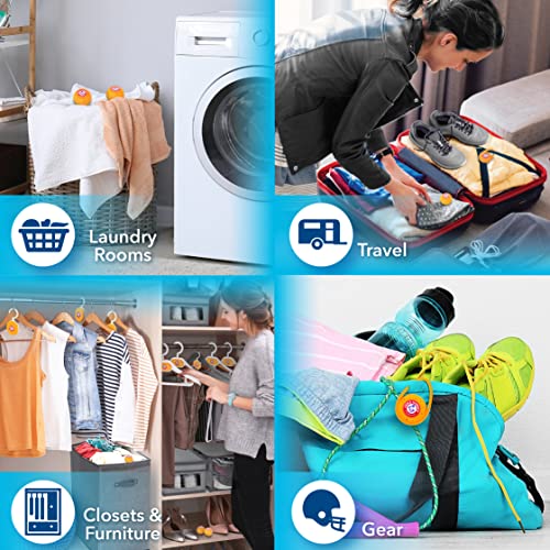 Arm & Hammer Odor Busterz Balls, 6 Pack Pricepulse