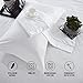 King Size Bed Pillows for Sleeping - KURNPHY NOAH Premium White Fluffy King Pillows Set - Super Soft Pillow Relief Neck Pain Anti-mite & Hypoallergenic Side Sleepers Easy Care (2 Pack)