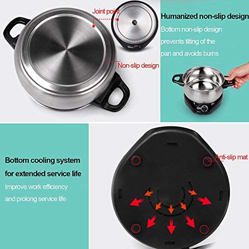 6 LIVEN+Electric+Stainless+Steel+DHG+200F