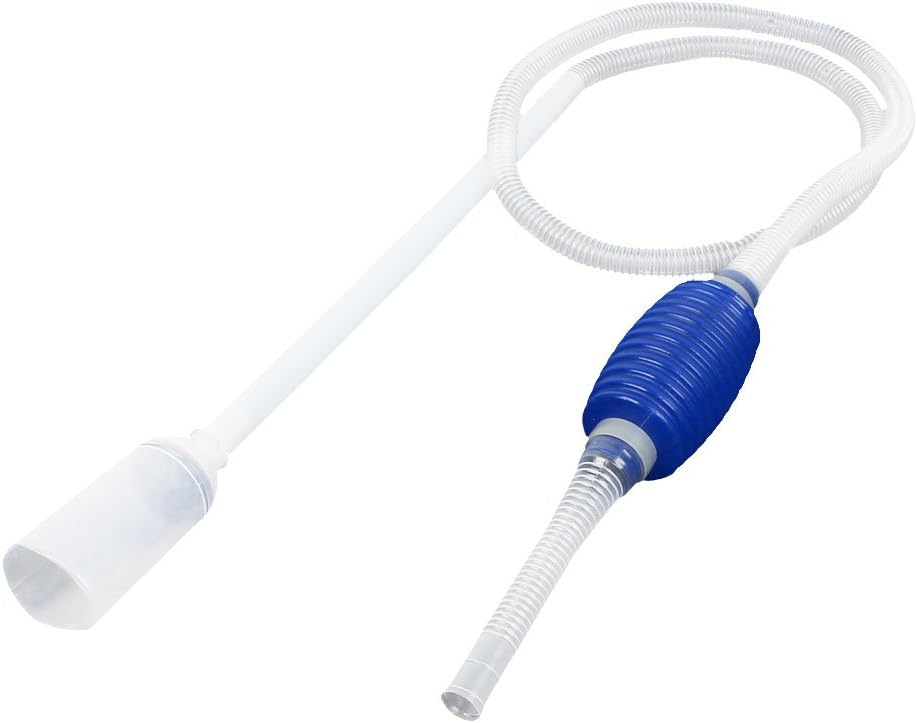 shih tzu 2 months old care