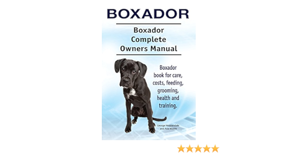 boxador price