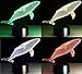 SOKOS Nightlight, 3D visualization Illusion Multi-colored Change USB Touch Button LED Desk Lamp, Table Light for Room Decorative or Gifts for Friends/Kids (Whale)