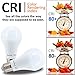 AmeriLuck Remote Control LED Light Bulb Kit, Adjustable Color Temp, One-to-many Group-able, Perfect for Any Applications (2 Bulbs + 1 Remote)
