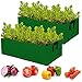 ANPHSIN 2 Pcs Large Fabric Raised Planting Bed Garden Grow Bags- Aeration Fabric Potato Tomato Planter Pots for Outdoor Vegetables, Plant, Flowers Growingthumb 4
