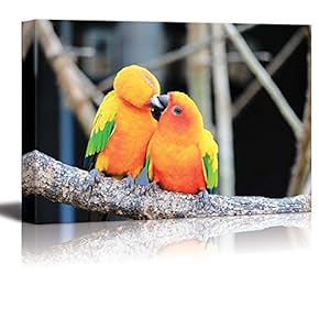 Canvas Prints Wall Art - Colorful Parrot Bird Kissing on The Perch Romantic Concept | Modern Wall Decor/Home Decoration Stretched Gallery Canvas Wrap Giclee Print & Ready to Hang - 12" x 18"