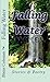 Falling Water: Stories & Poetry