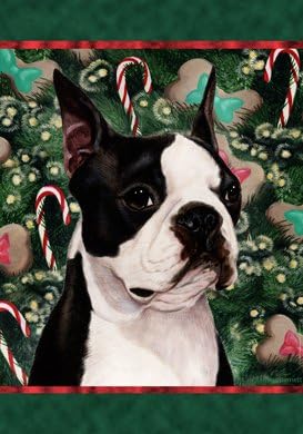 best treats for boston terriers