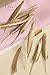 Ling's moment 50 Pcs 4-6 Inch All Gold Dipped Feather Garland Banner For Bohemian In Bulk For Craft Sparkle Party Home Wedding Baby Bridal Shower Wedding Party Table Birthday Feather Decoration