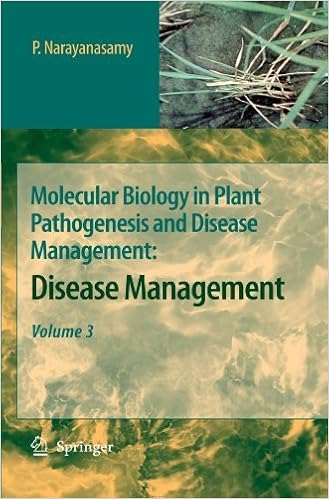 Httpreadsgfg Bsgapublictc3a9lc3a9charger - 