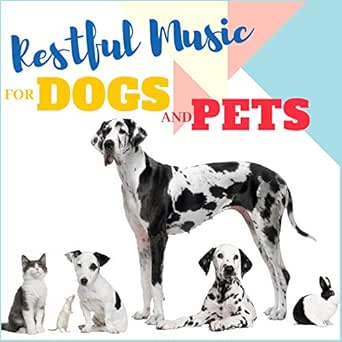 with the dogs running song