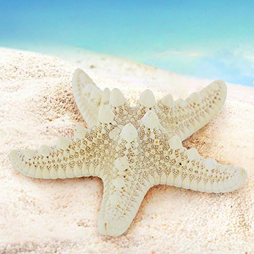 QingHan Stylish Real Starfish Hairpin Star Hair Clips Gift For Girls Wedding