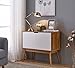White/Woodgrain Mid-Century Style Console Sofa Table Storage Cabinet Sideboard with 2 Doors