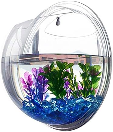 Surlan Hanging Fish Tank Bowl, Creative Acrylic Wall Mount Fish Tank Bowl Vase Aquarium Plant Pot Fish Bubble Aquarium Home Decoration Diameter