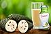 Healthee Soursop Guabanaba Graviola Juice 100% Natural Pure Juice 6 fl oz (12)