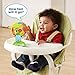 VTech Lil' Critters Spin and Discover Ferris Wheel (Frustration Free Packaging)