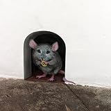 Ewdsqs Mouse Hole Decals - Jaq And Gus Mice With Heart Sticker Cartoon Cute Mouse Holes Wall Decals : Buy Online At Best Price In KSA - Souq Is Now-467622