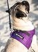 Cold Weather Dog Harness - Comfortable & Adjustable Harnesss for Dogs - Easy Walk Dog Harness (Red, Neck Size 12