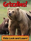 Grizzly Bears! Learn About Grizzly Bears and Enjoy Colorful Pictures - Look and Learn! (50+ Photos of Grizzly Bears)