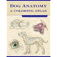 Horse Anatomy: A Coloring Atlas, 2nd Edition: Robert A. Kainer, Thomas ...