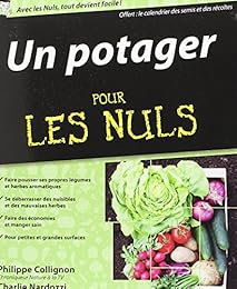 Un  potager pour les nuls