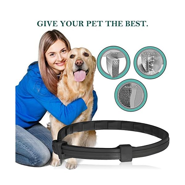 Antiparassitario Per Gatti Collare Antipulci Per Cani | Protezione 8 Mesi Contro Pulci E Zecche | Impermeabile E Regolabile Protezione Zecche 8 Mesi - Foto 11